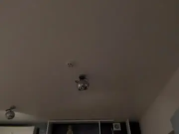 Chaturbate Sex Cam of stephierousee