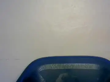 Chaturbate Watch Live Sex Cams of nasty_slut789