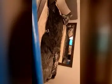 Chaturbate Adult Webcam of kenn860