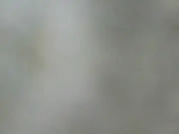 Chaturbate Sex Chat of kennerfox77