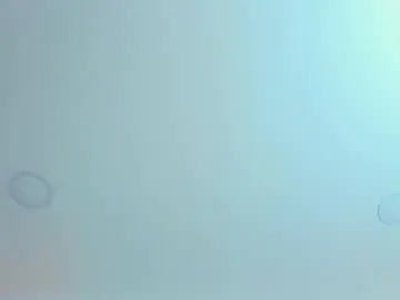 Chaturbate Sex Chat of antonella_west