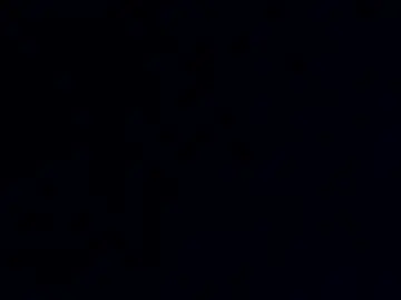 Chaturbate Adult Webcams of phil55q