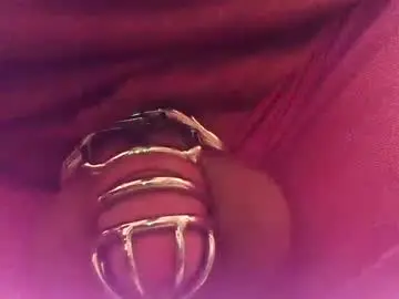 Chaturbate Best Webcam of snakepit31