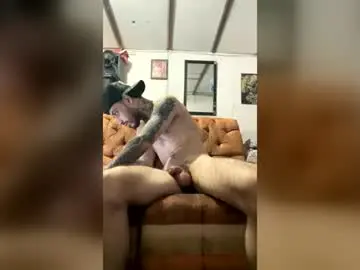 Chaturbate Watch Live Sex Cams of panthers_room