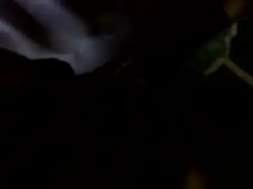 Chaturbate Free Porn Cam of transcendental_tara