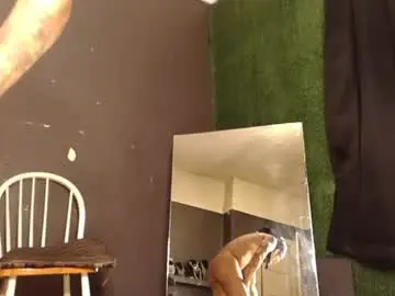 Chaturbate Live Sex of bigpussypump