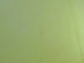 Chaturbate Live Porn of _lilies_gigi_