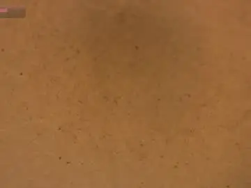 Chaturbate Live Sex of livestream18x