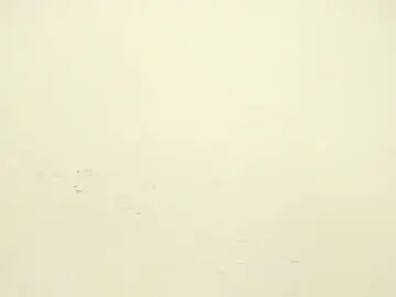 Chaturbate Best Webcam of myla_cute18