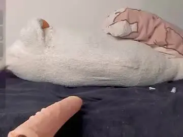 Chaturbate Adult Video Chat of neiljungg