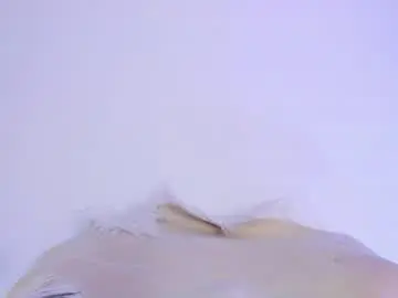 Chaturbate Adult Webcams of coral_princex