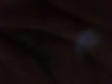 Chaturbate Best live sex cam show of sweet_wallen