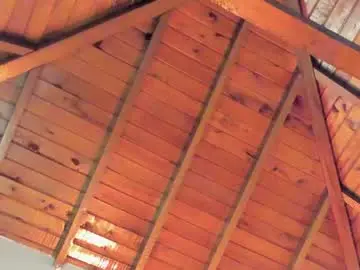Chaturbate Live Porn of tony_petrov