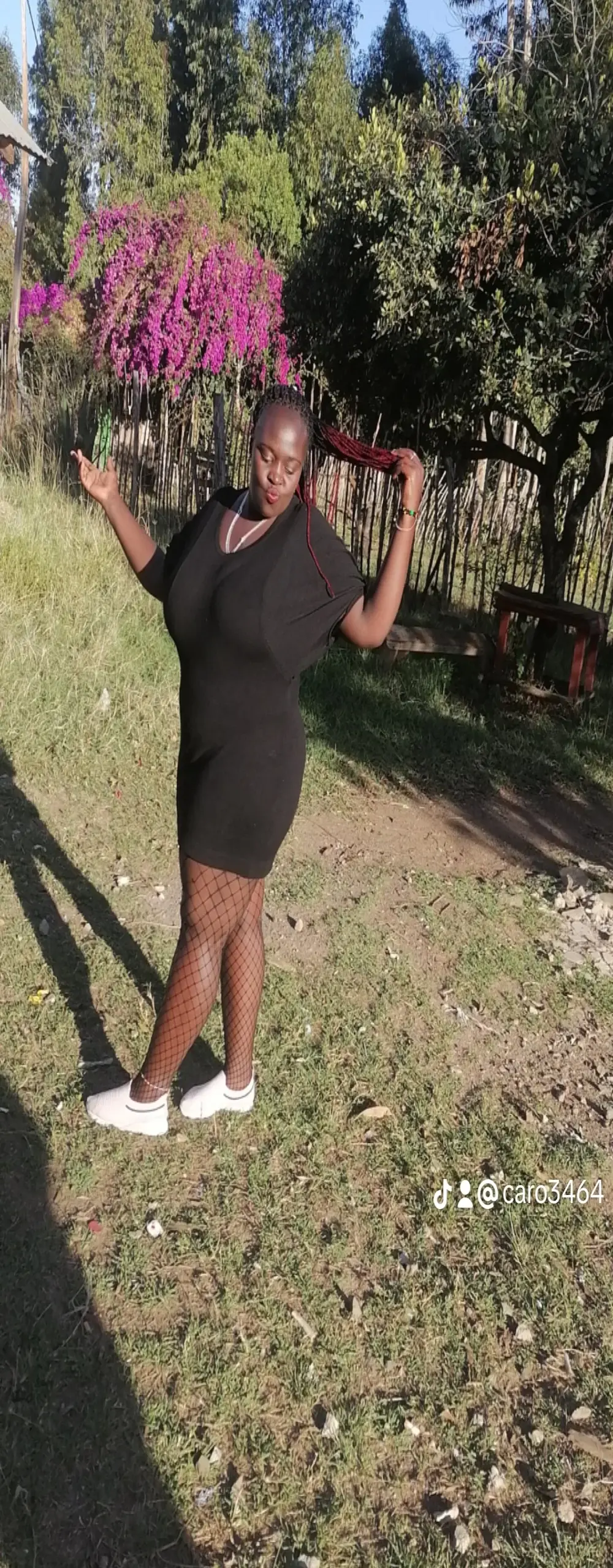Black_beauty09