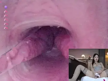 Stripchat Best Webcam of AYW-21