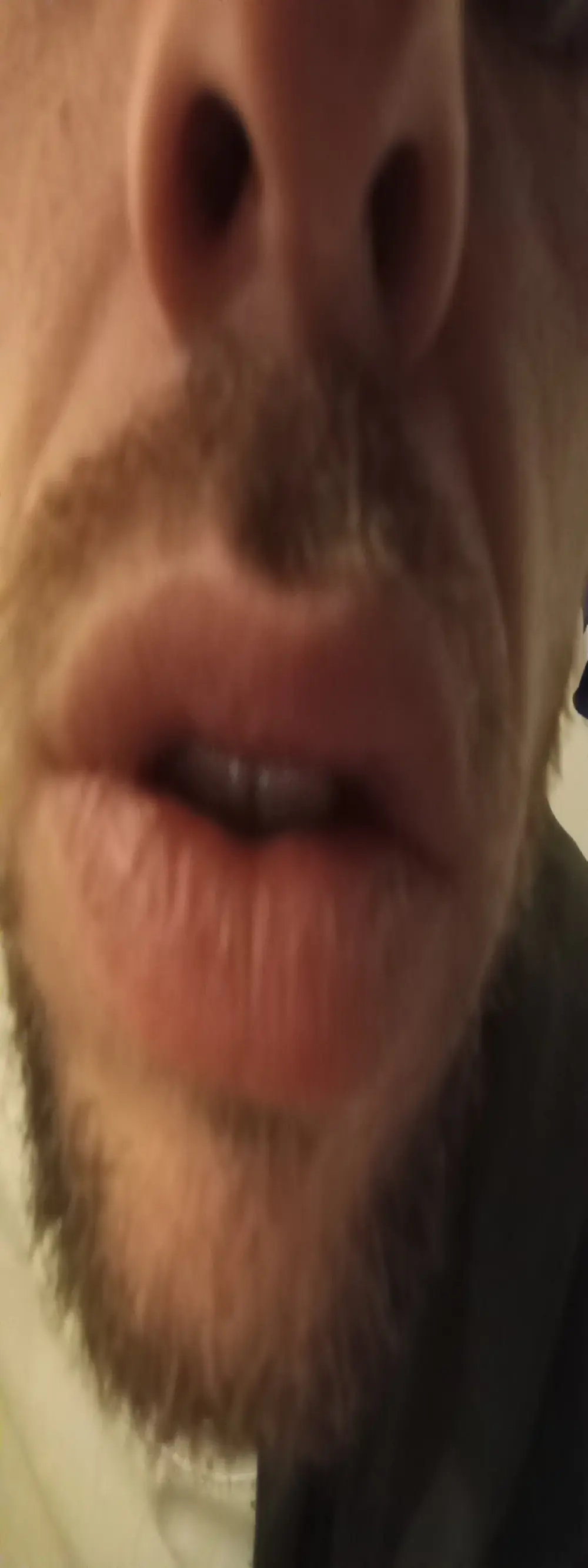 pocholoibz
