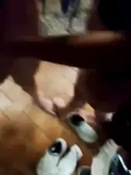 Stripchat Live Sex Cam of LUDIMILLATOYS