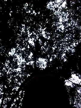 Stripchat Free Porn Cam of FeloBad