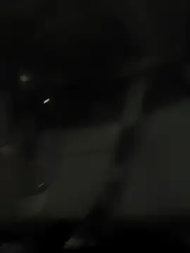 Stripchat Best live sex cam show of casalselvagem