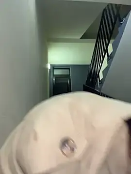 Stripchat Nude Webcam of ICrazyOneIRL