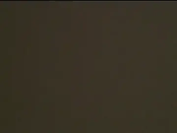 Stripchat Private Sex Chat of AnyEvyy