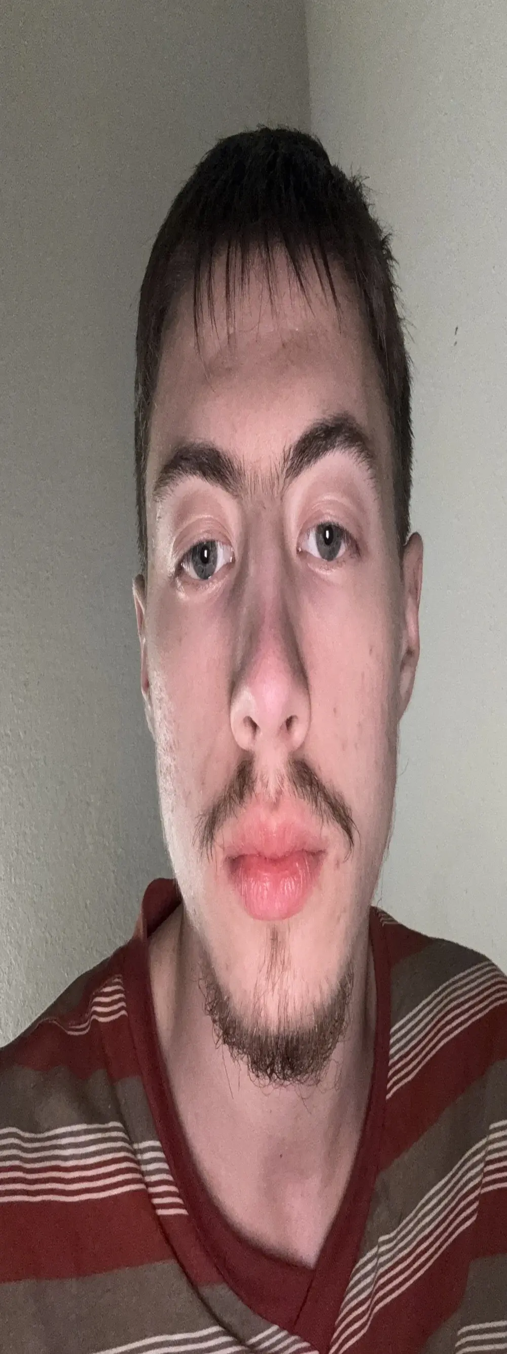 VelvetRagottiOG