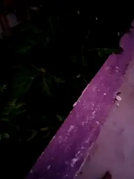 Stripchat Best live sex cam show of Big_Balls_Big_Cock