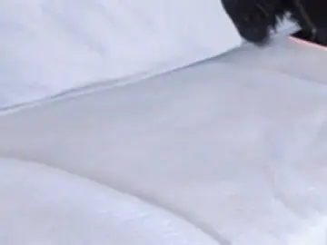 Stripchat Adult Webcam of FoxxxyPink