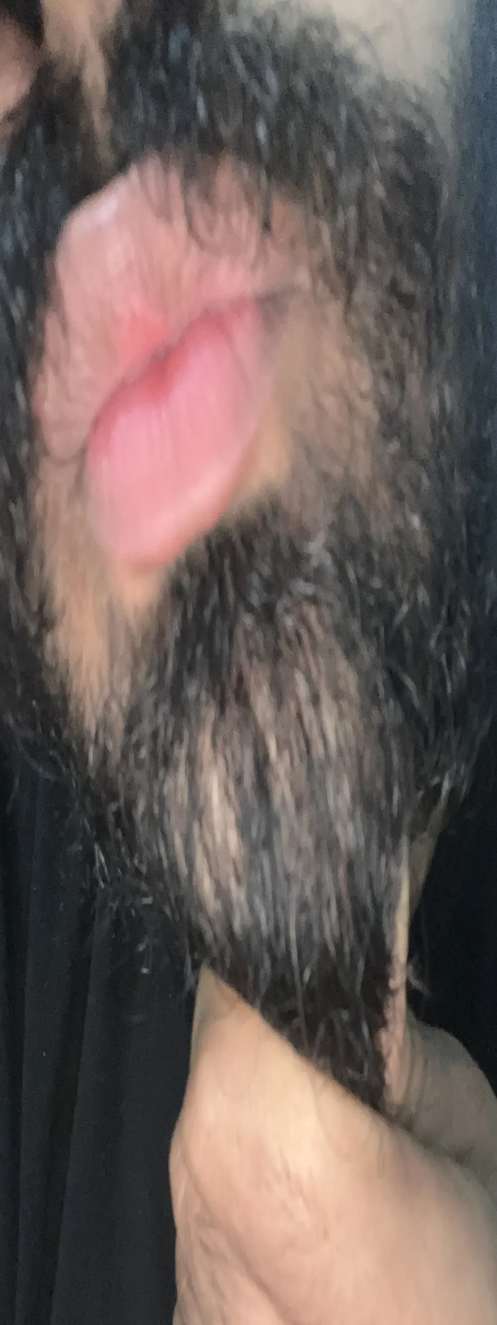 mrtoy121