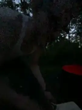 Stripchat Adult Webcam of teninchty