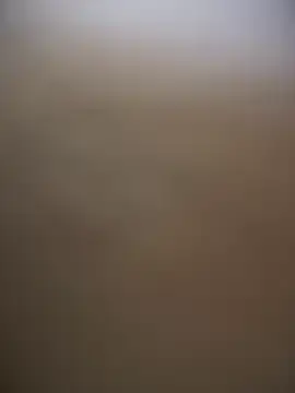 Stripchat Nude Webcam of sammyqueenx21
