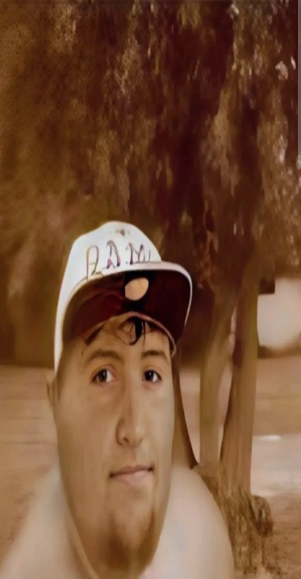 Havannabroklen2