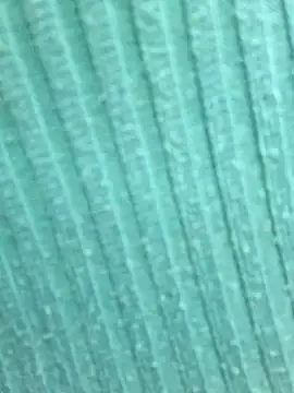 Stripchat Private Sex Chat of Sweed-virgin-pussy