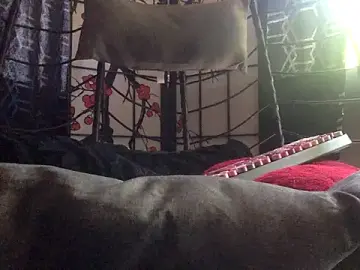 Stripchat Free Porn Cam of odbodu