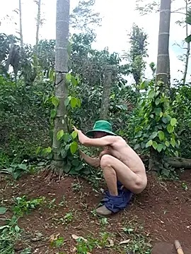 Stripchat Live Porn of hoang1209