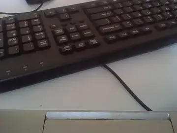 Stripchat Adult Webcam of ANALQUEEN4