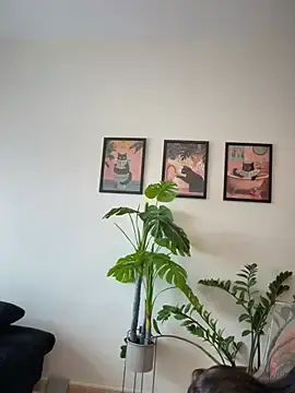 Stripchat Free Live Porn of Adriennesexxx