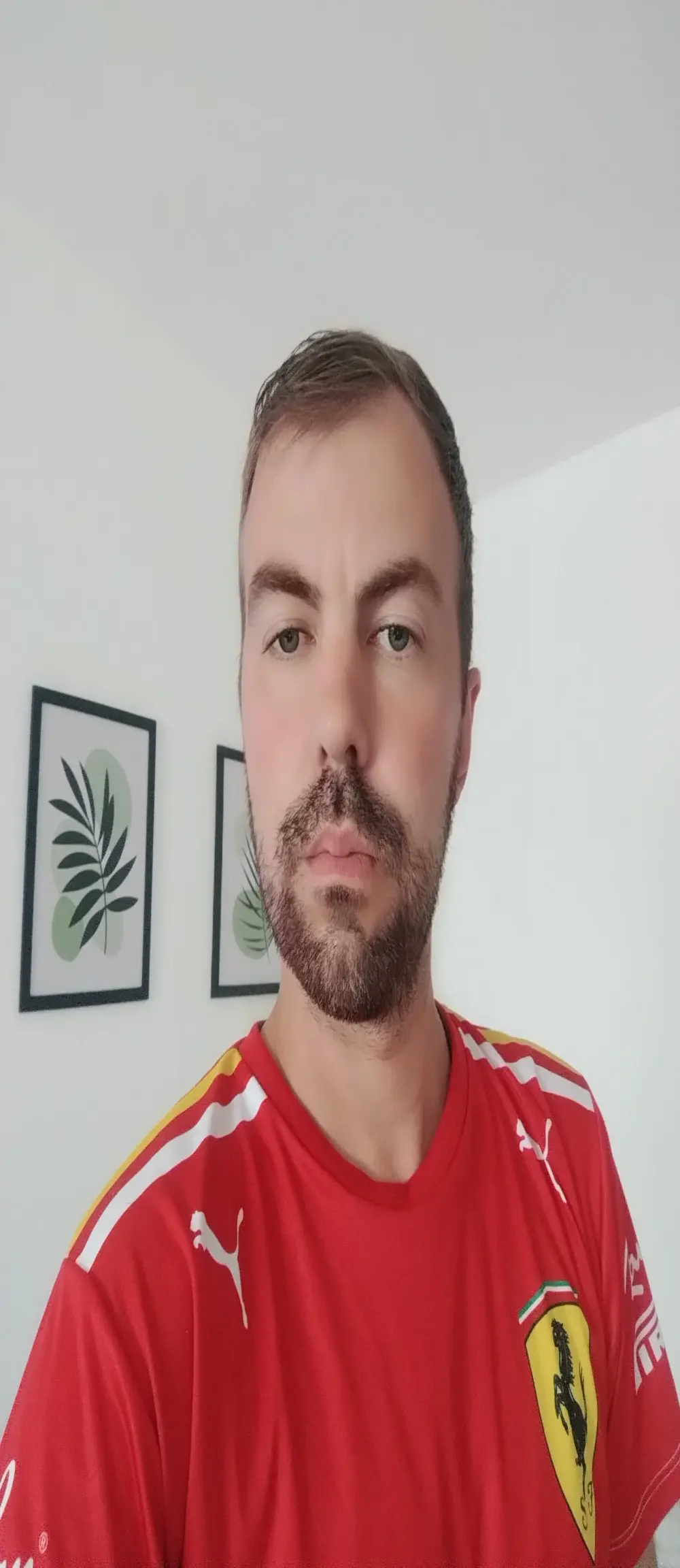 jinotex88