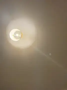 Stripchat Adult Webcam of Z1uk