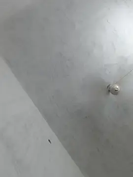 Stripchat Best live sex cam show of SS_sanjna
